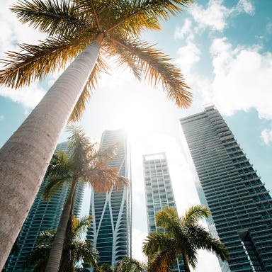 vue de Miami