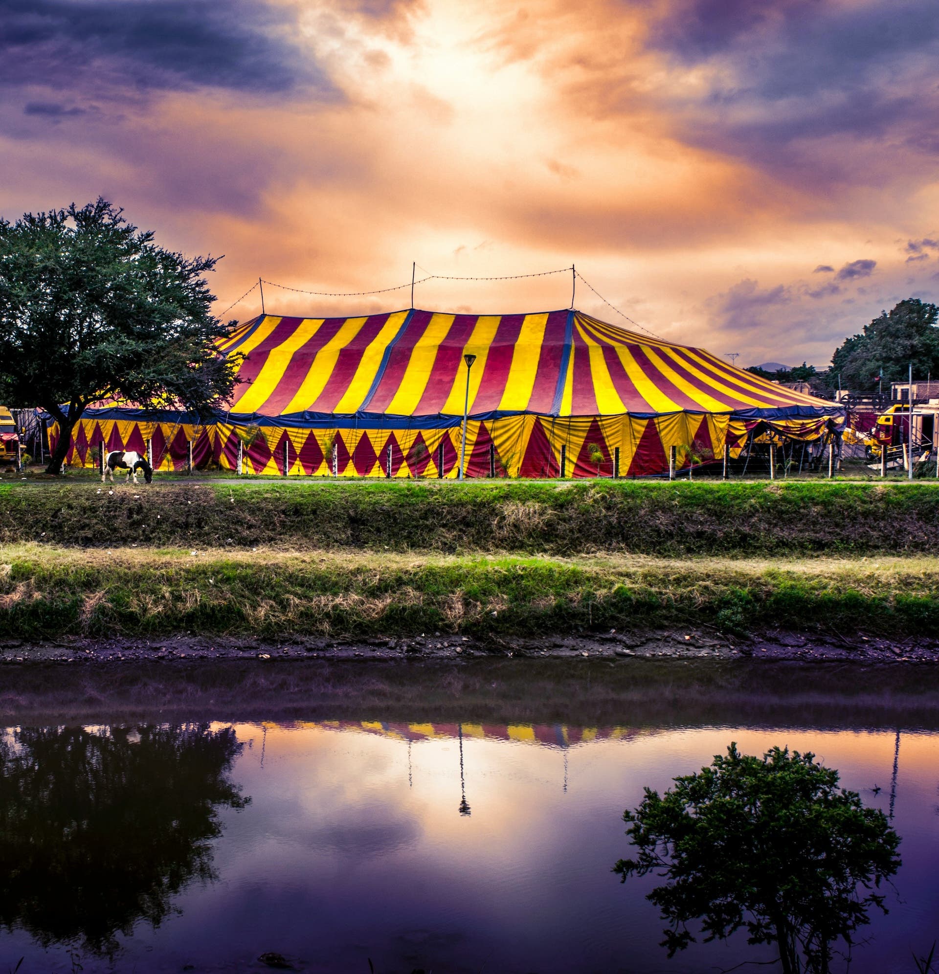 Image of circus