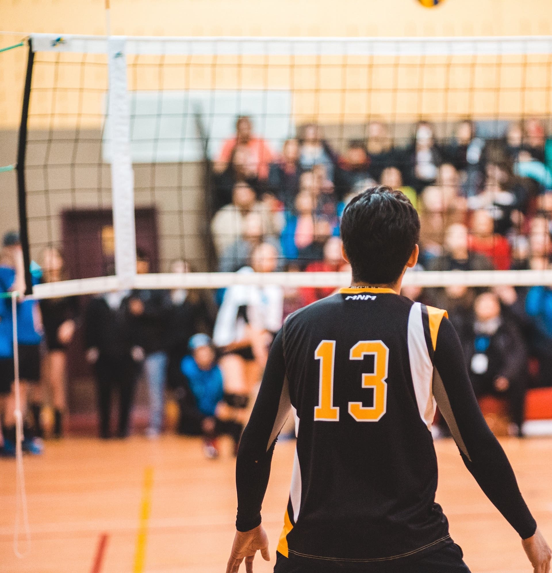 Image of college-volleyball
