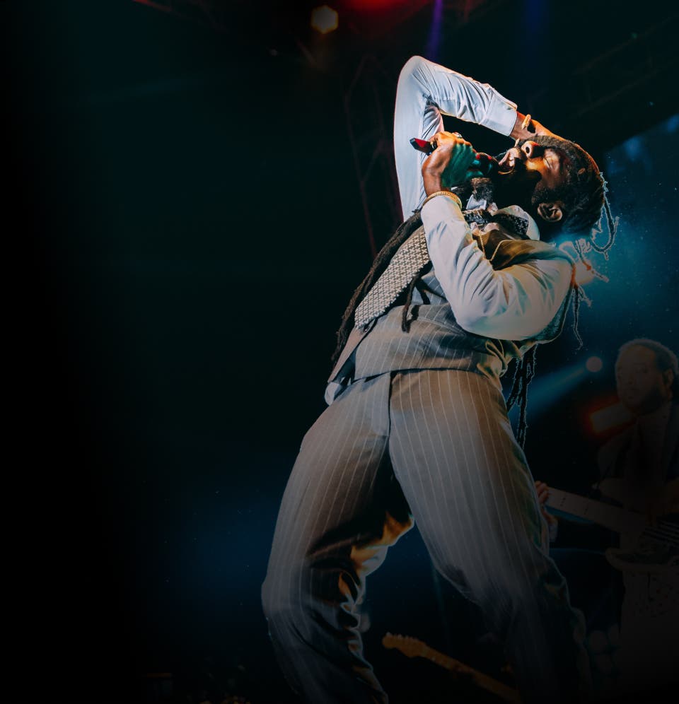 Image of concert