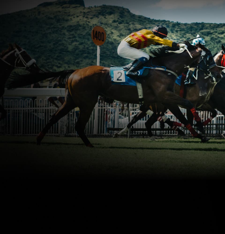 Image de horse-racing