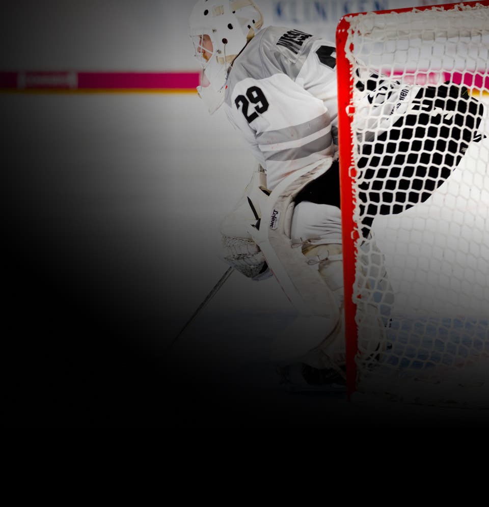 Image de minor-league-hockey