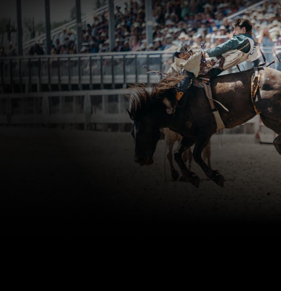 Image of rodeo