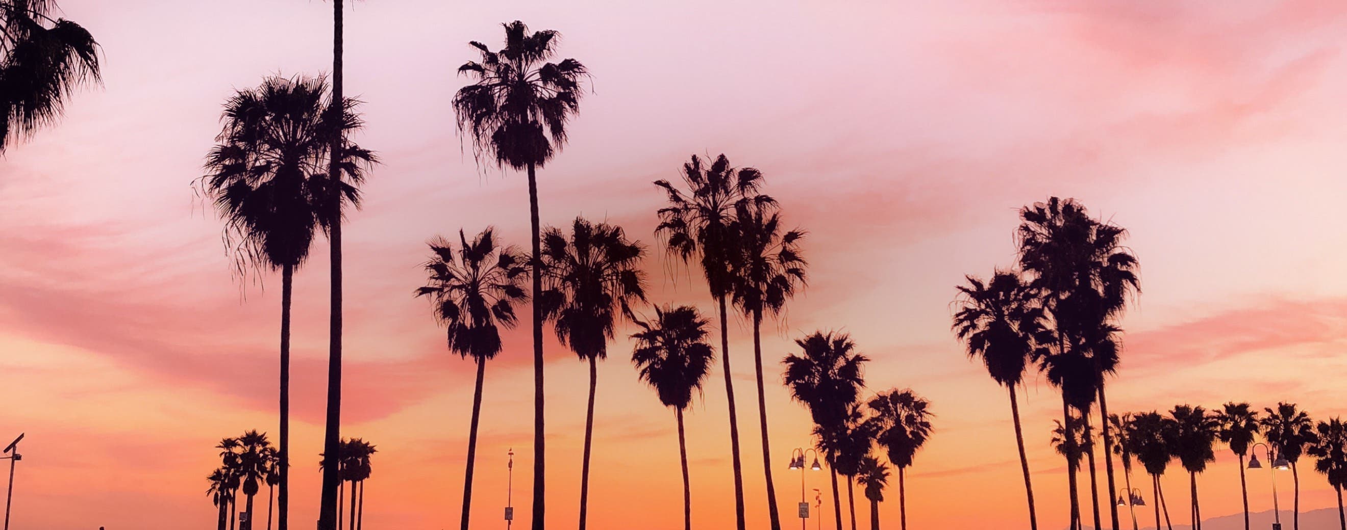 View of Los Angeles, representing local events