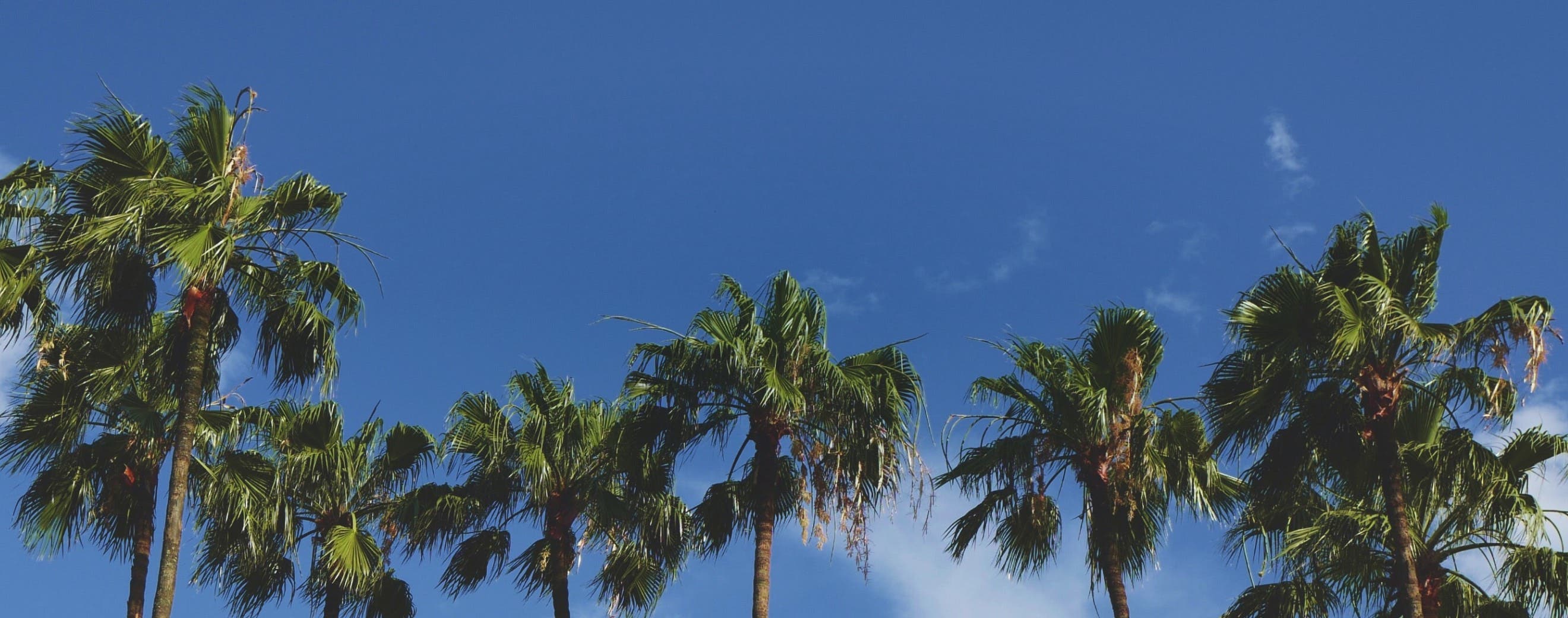 View of Orlando, home to local concerts and live music venues