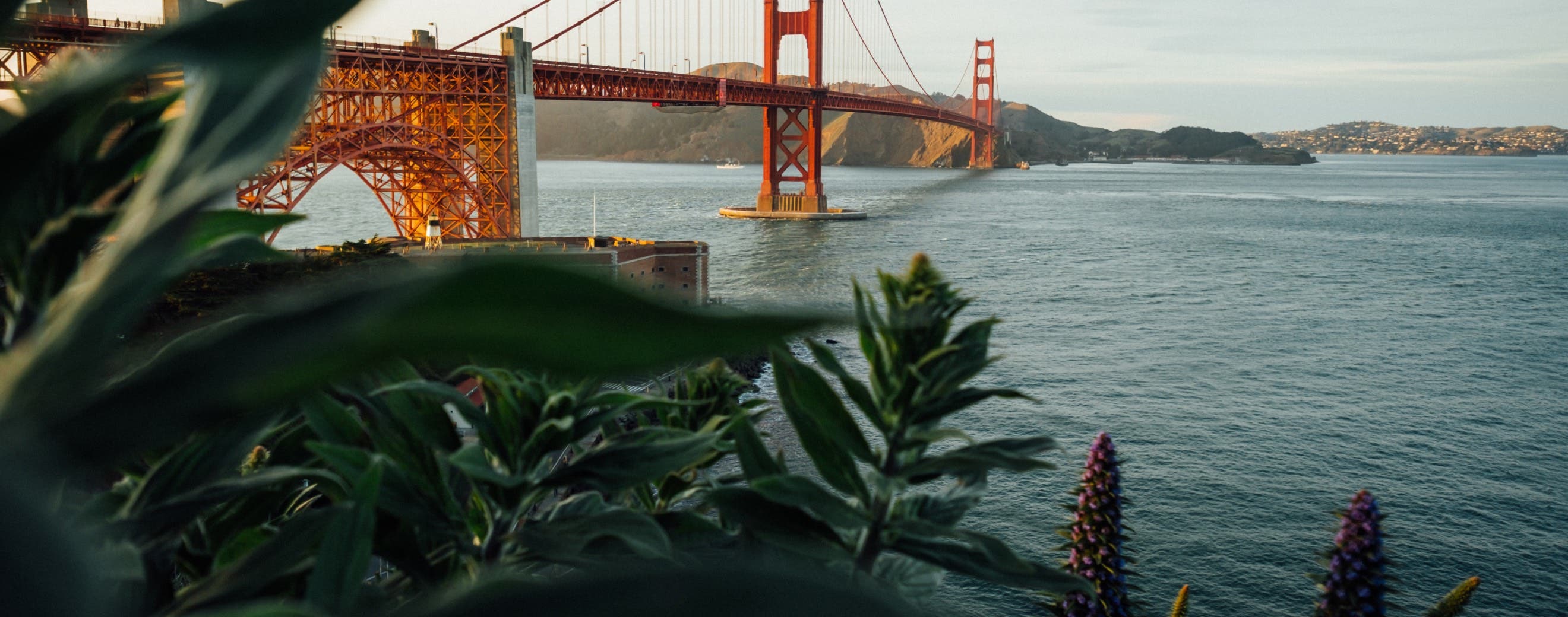 View of San Francisco, representing local events