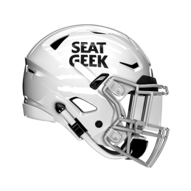 seatgeek helmet