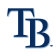 Tampa Bay Rays Logo
