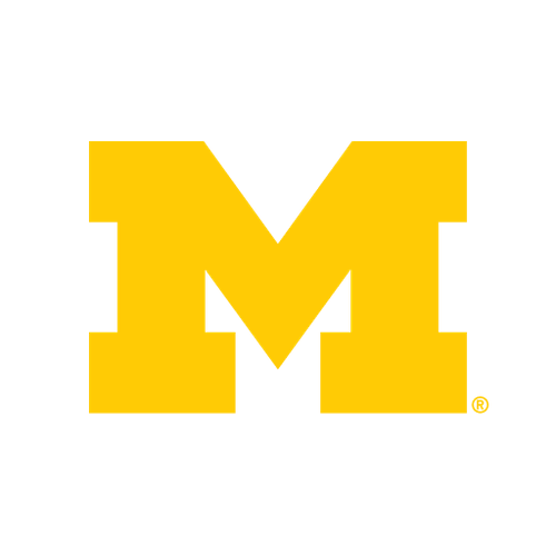 Michigan Wolverines Womens Volleyball