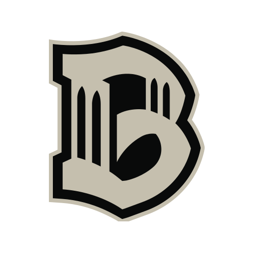 Brooklyn FC Womens Soccer logo