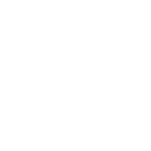 Mississippi State Bulldogs Womens Basketball logo