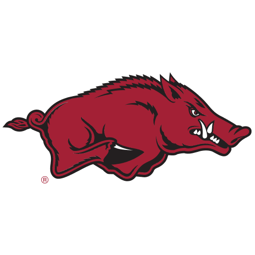Arkansas Razorbacks Womens Basketball logo