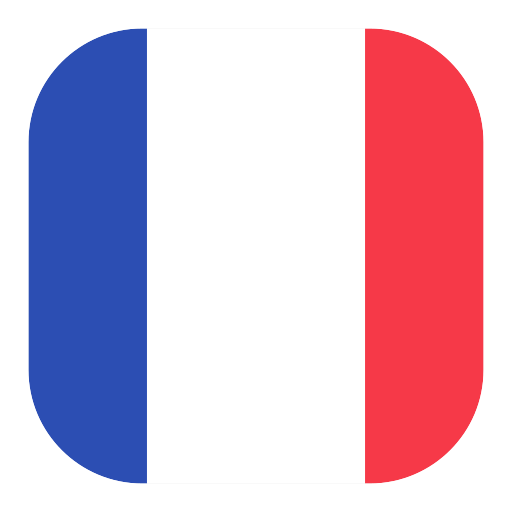 France National Football Team logo