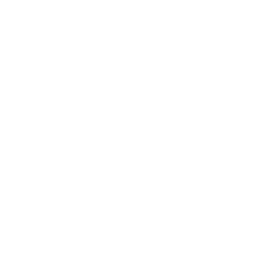 Logo Charlotte 49ers Football