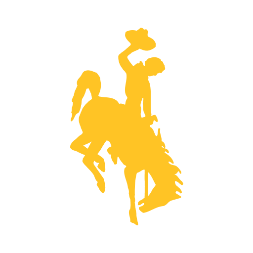 Wyoming Cowboys Mens Basketball logo