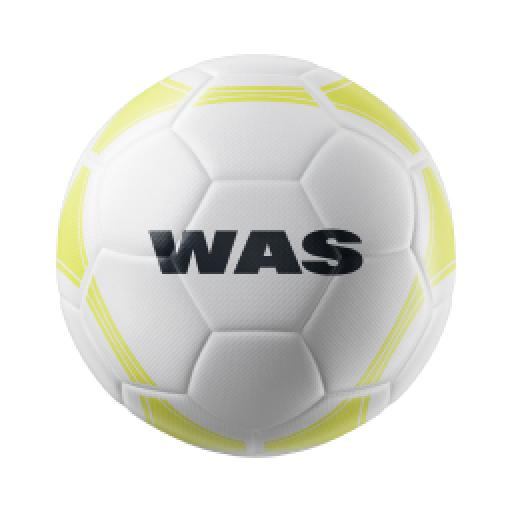 Washington Spirit logo