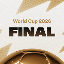FIFA World Cup Final