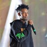 Image 21 Savage