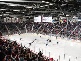 Adirondack Thunder