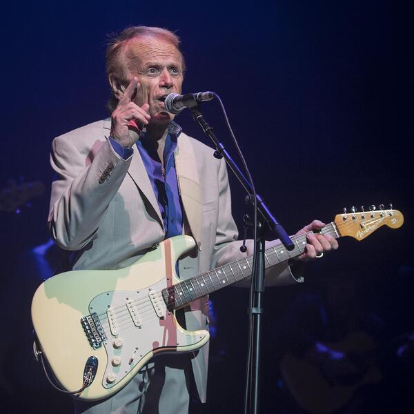 Al Jardine image
