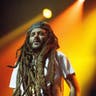 Alborosie image