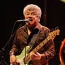 Ambrosia image