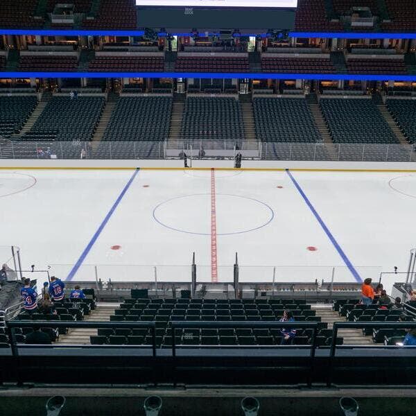 Promotional image of Anaheim Ducks