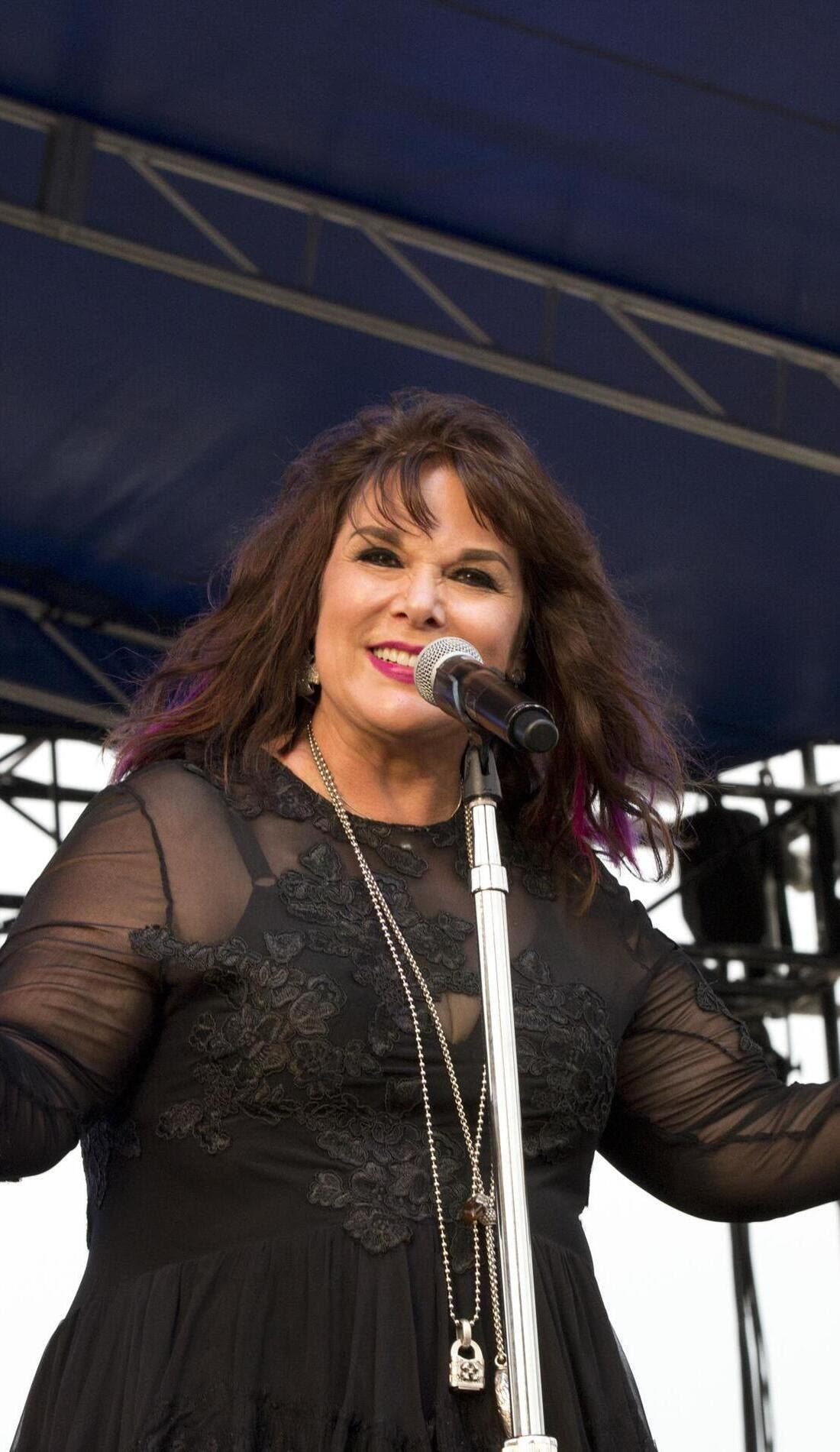 Ann Wilson promotional image for upcoming events and ticket sales