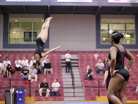Arizona State Sun Devils Womens Gymnastics