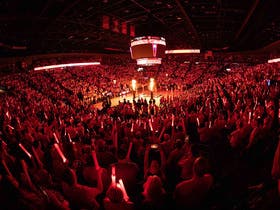 Arizona Wildcats Mens Basketball at McKale Center
