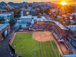 Arizona Wildcats Softball