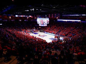Arizona Wildcats Womens Basketball