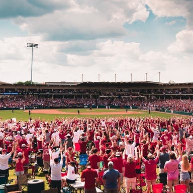 Arkansas Razorbacks Baseball Tickets 