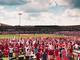 Arkansas Razorbacks Baseball at Baum Stadium At George Cole Field