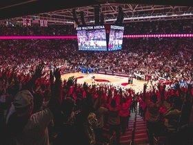 Arkansas Razorbacks Mens Basketball at Bud Walton Arena