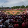 Arkansas Razorbacks Softball