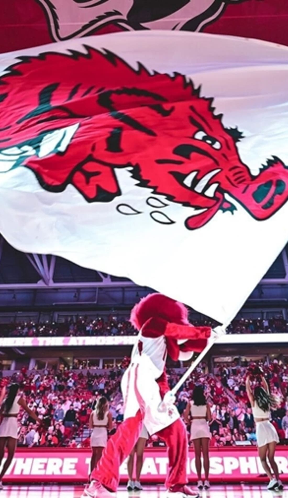 View from a seat at a Arkansas Razorbacks Womens Basketball vs UCLA Bruins Womens Basketball game, showing the teams playing
