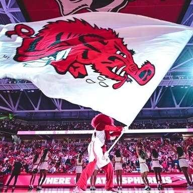 Arkansas Razorbacks Womens Basketball Tickets 