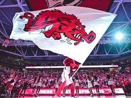 Arkansas Razorbacks Womens Basketball