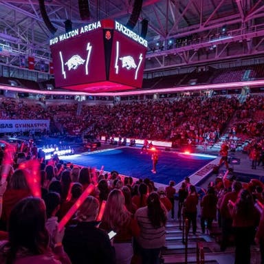 Arkansas Razorbacks Womens Gymnastics Tickets 
