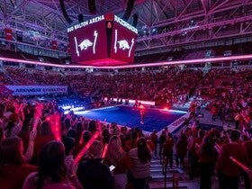 Arkansas Razorbacks Womens Gymnastics