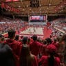 Arkansas Razorbacks Womens Volleyball