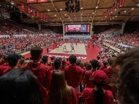 Arkansas Razorbacks Womens Volleyball at Barnhill Arena