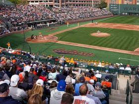 Auburn Tigers Baseball at Plainsman Park