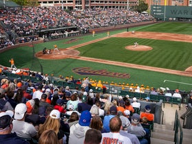 Auburn Tigers Baseball