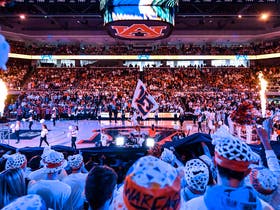Auburn Tigers Mens Basketball