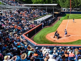 Auburn Tigers Softball