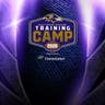 Baltimore Ravens Training Camp