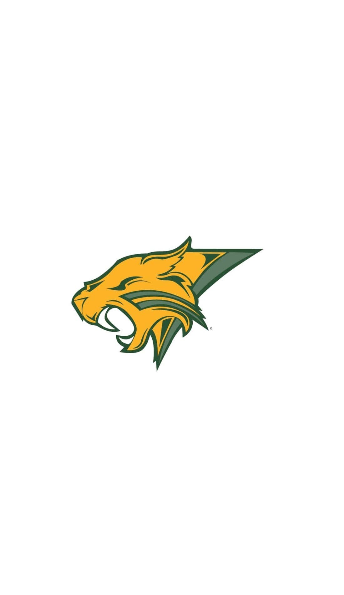 Basehor Linwood Graduation promotional image for upcoming events and ticket sales
