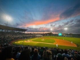 Baylor Bears Baseball